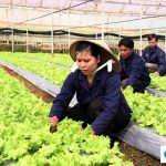 Thành lập công ty trong lĩnh vực nông nghiệp tại Hà Tĩnh