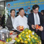 Đăng ký bảo hộ nhãn hiệu giúp tăng 20% giá trị sản phẩm Hà Tĩnh